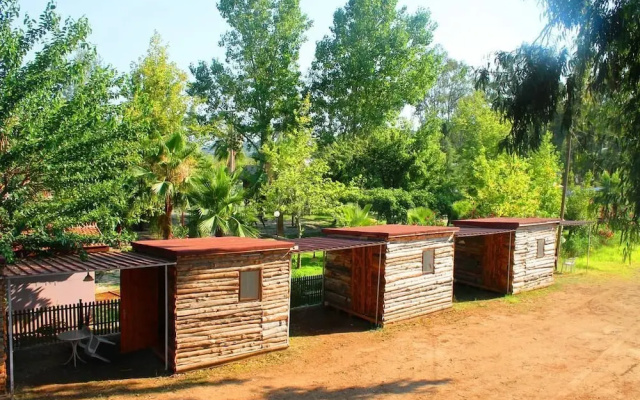 Medusa Bar & Camping - Hostel