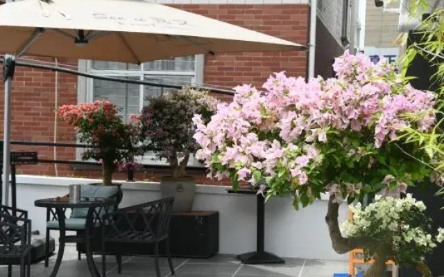 Floral Hotel·Qing yuan Wang shan Xuan Hotel