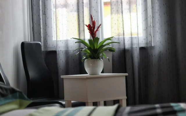 Guesthouse Esma