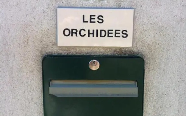 Les Orchidées