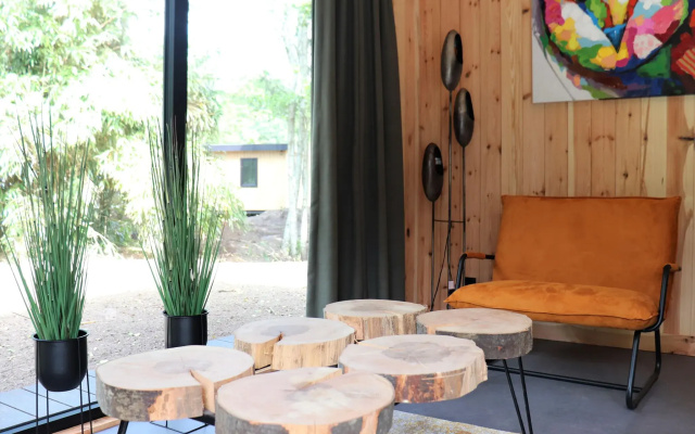 Attractive holiday home in Dalerveen with garden