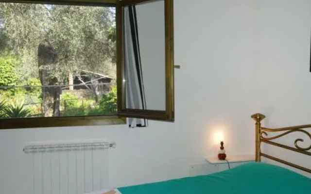 Olive House