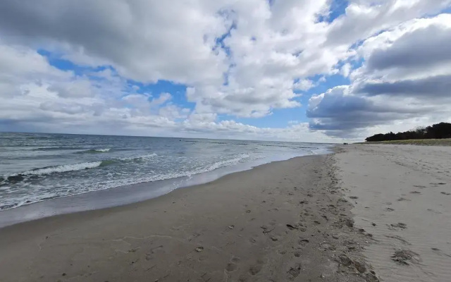 Zingst Achtern Diek 12d Elly