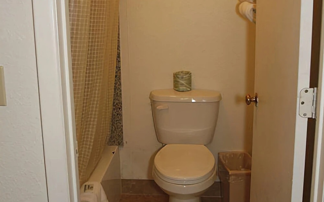 Chestnut Tree Inn Portland Mall 205