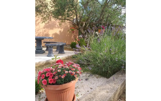 Apartment Ante