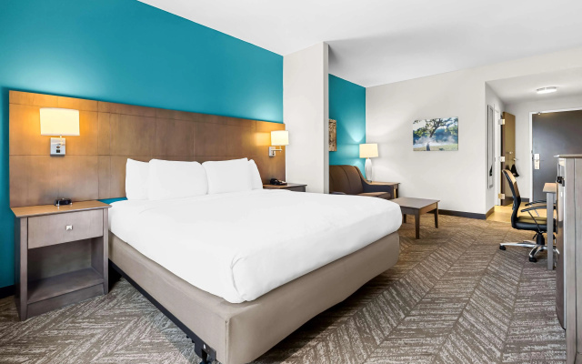 Best Western Plus Bolivar Hotel & Suites