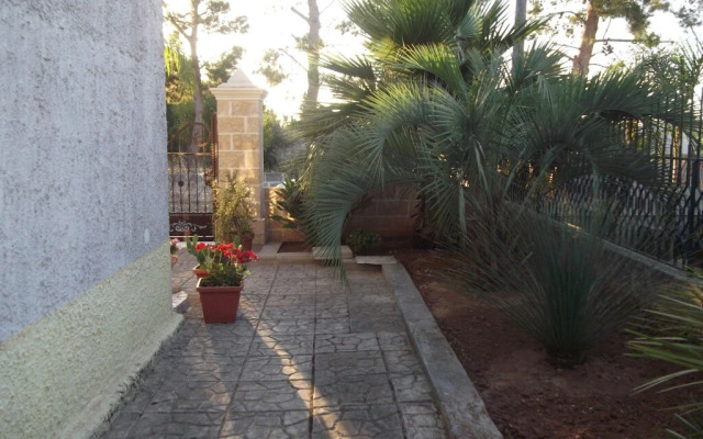 B&B Lezzi Avantgarde