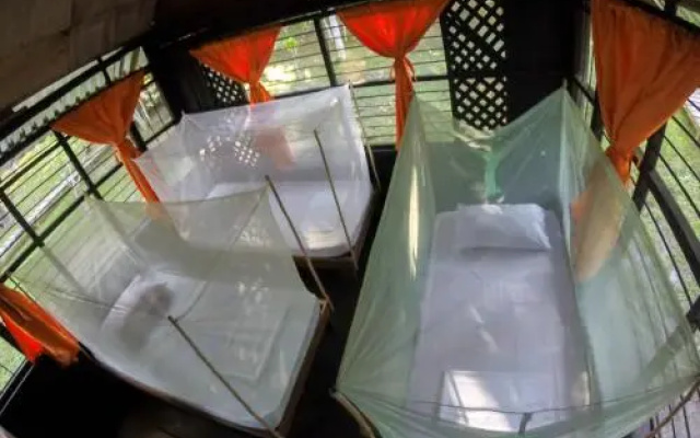 Amazon Experience Hostel