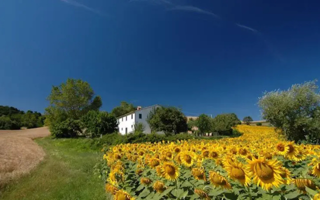 Bed & Breakfast Casa dei Colli