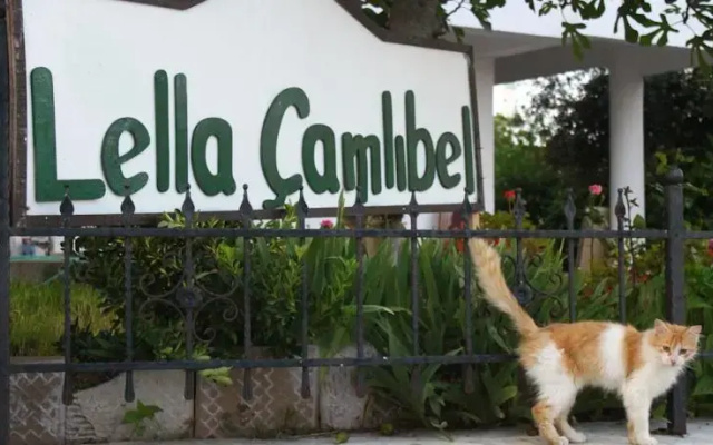 Lella Camlibel-Sut Yumurta Recel