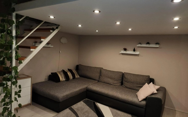 Comfortable and Homey apartment in downtown