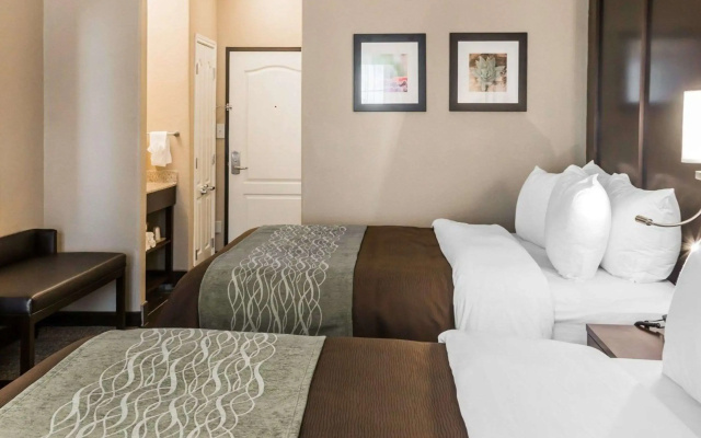 Comfort Inn & Suites Pharr - McAllen