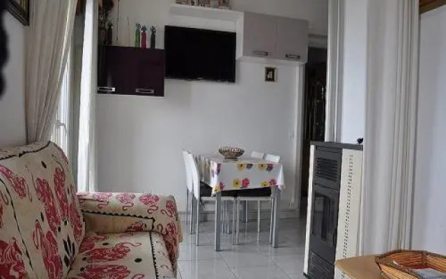 Cedri B