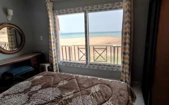 الاحياء