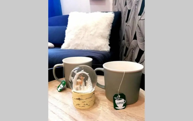 Le Petit Aupillon, studio cocooning aux Orres