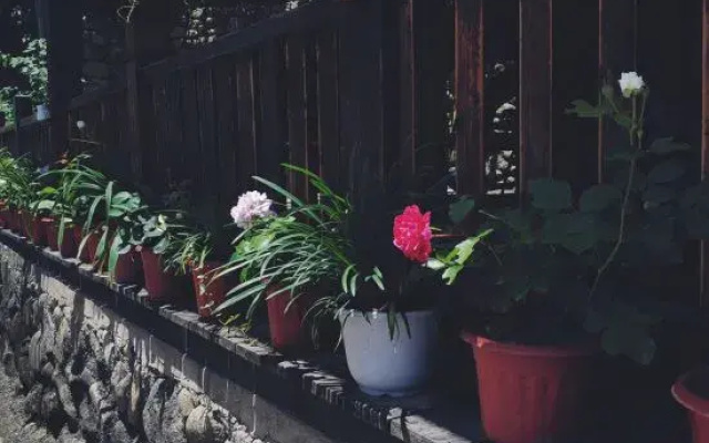 Tianyige Farmhouse