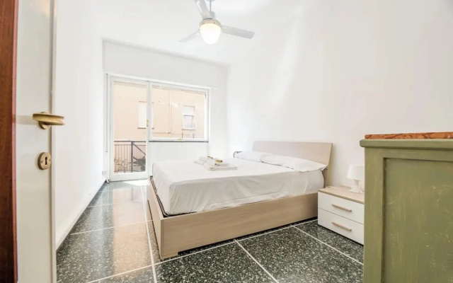 Pesto Home Holiday