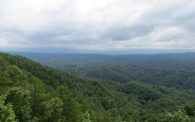 A View from the Top