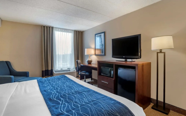 Comfort Inn At Shady Grove