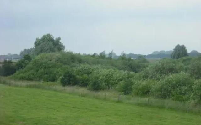 tHuis in Haren