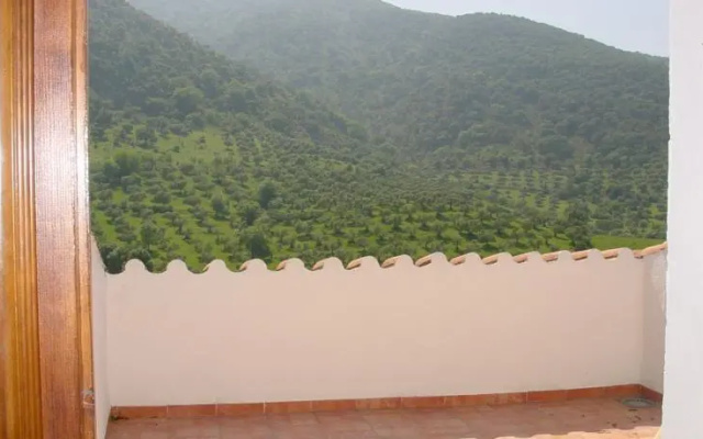 El Abejaruco