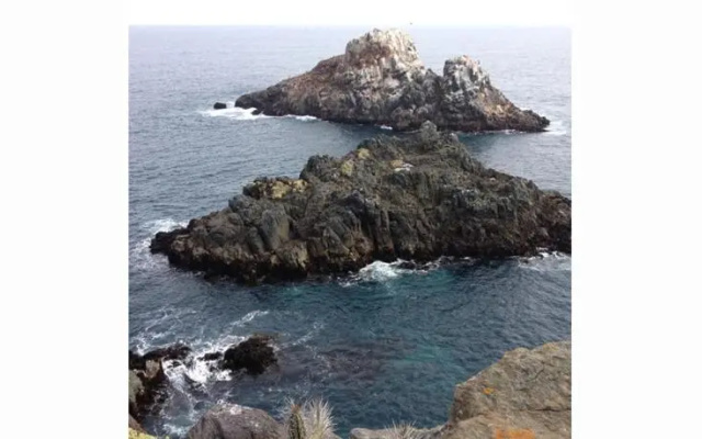 Cabañas Los Molles