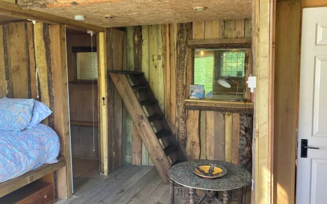 Treehouse Cabin Wilderness Escape