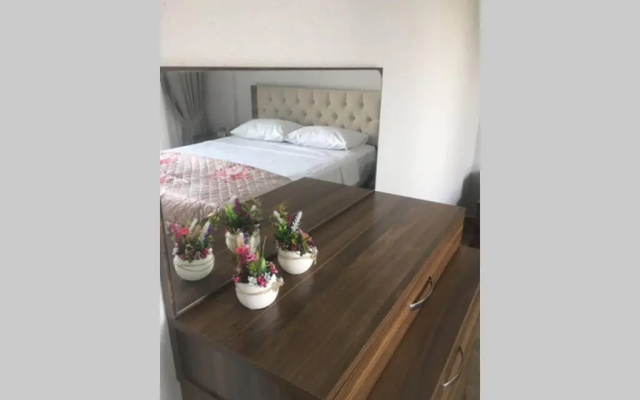 Begonvilla 2