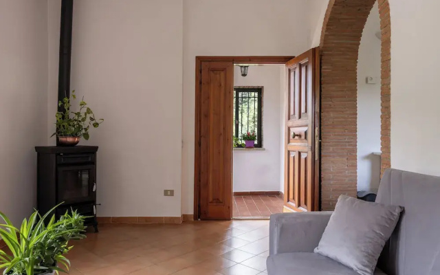 Oliveto Del Cantarello
