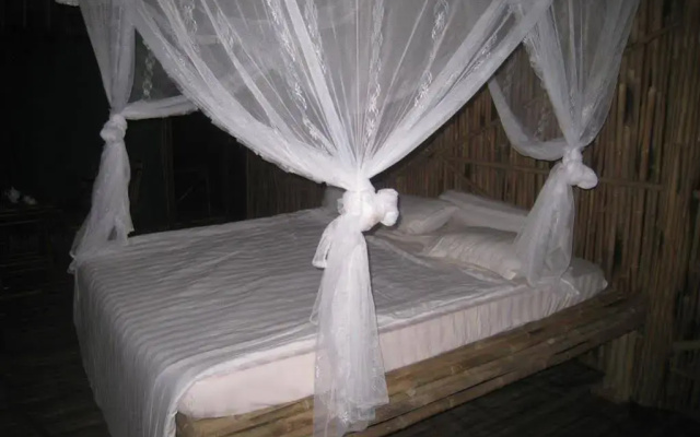 Green Bamboo Lodge