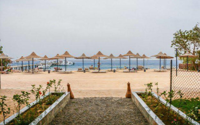 Отель Alia Beach Resort Египет, Хургада - отзывы, цены и фото номеров - забронировать отель Alia Beach Resort онлайн пляж