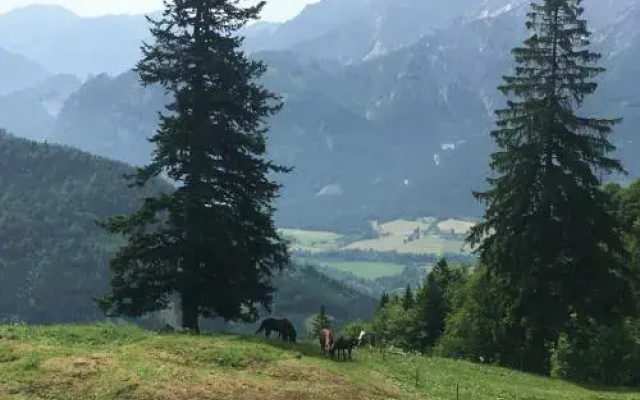 Wengerwirt