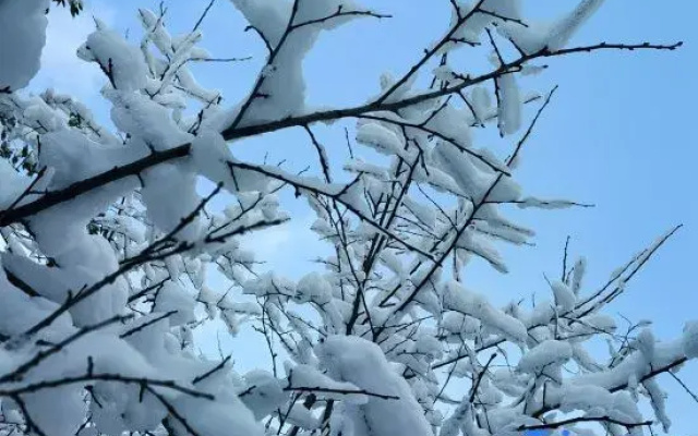 Jilin Yilin Residence