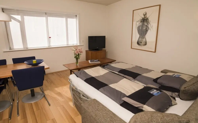 Cozy central apartment in the heart of Reykjaviks city center