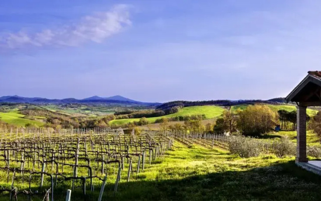 Fattoria Orsa Maggiore