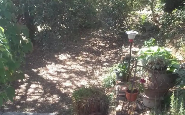 La casa di Lili