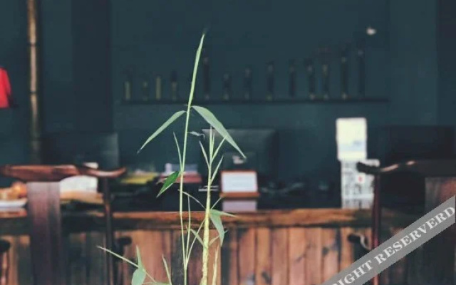 Scholar Tree and Riverside Boutique Hotel