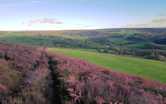 Rievaulx