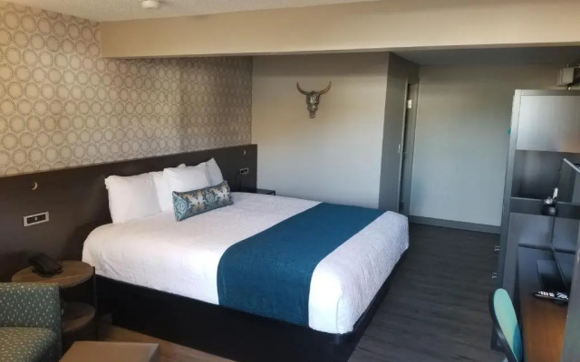 The Hotel Y