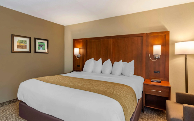 Comfort Inn Petersburg Fort Lee Area