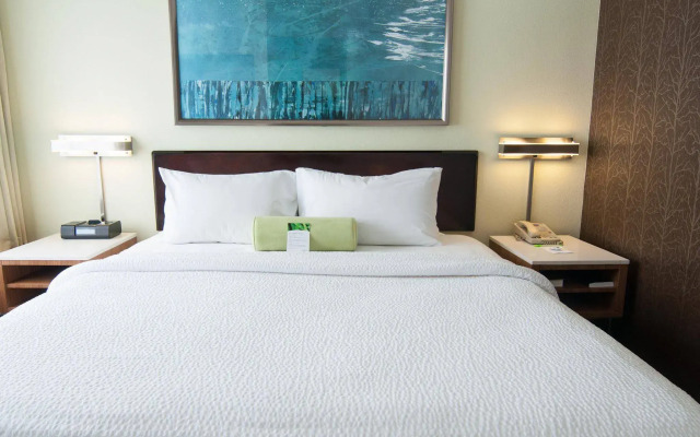 SpringHill Suites by Marriott Pittsburgh Monroeville