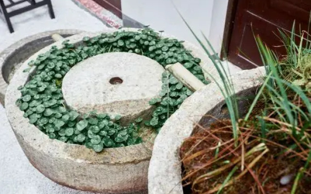 Fujian Longyan Huaguan Hall Hotel (Liancheng Guanzhai Mountain Scenic Area Branch)