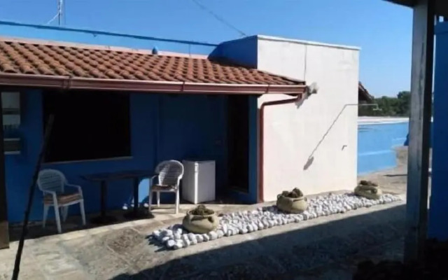 Gecko's House