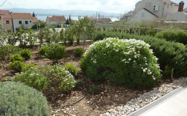 Ivy - Modern With Terrace - A2 Mak