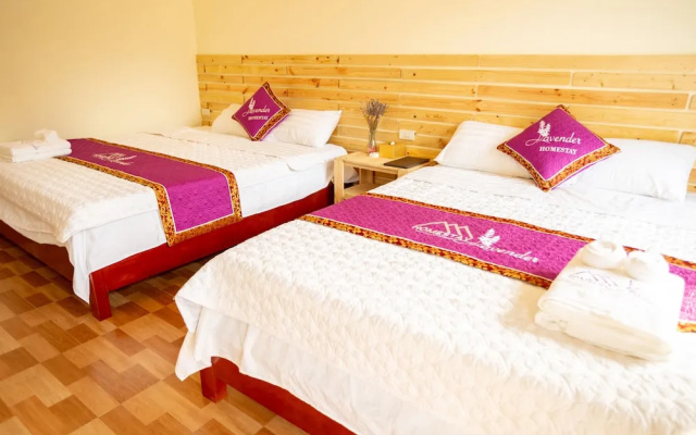 Tam Coc Lavender Homestay