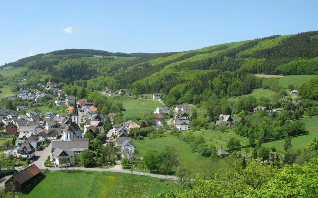 In der Waldemei