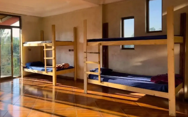 Mad Vervet Hostel - Addis
