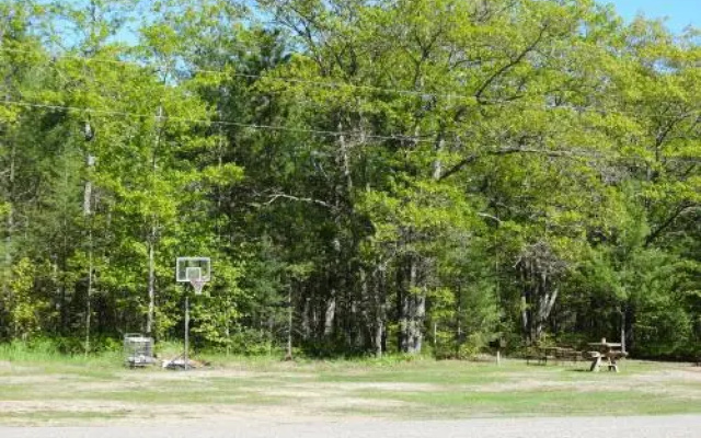Buckhorn Resort