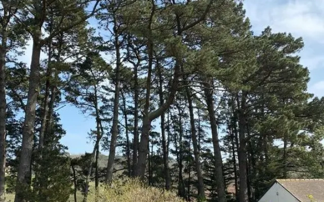 Le coteau