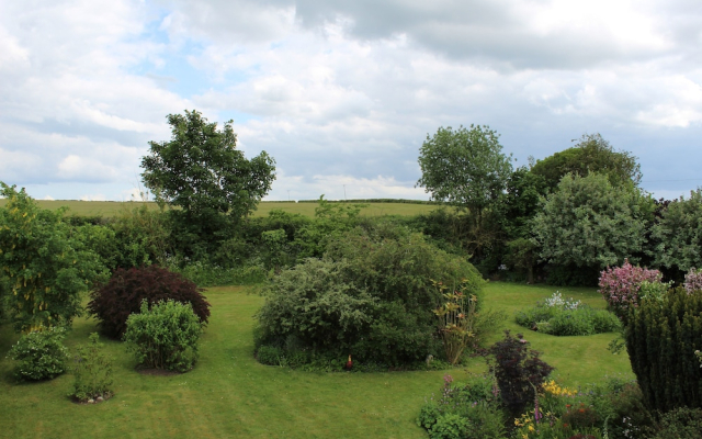 The Vine B & B